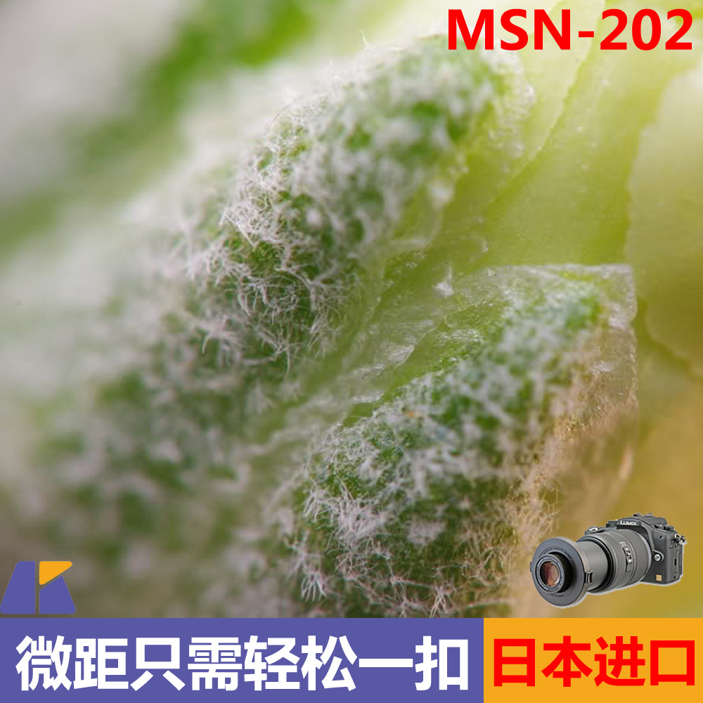 日本正品Raynox雷诺士MSN-202单反快扣近摄微距放大镜头52-67mm