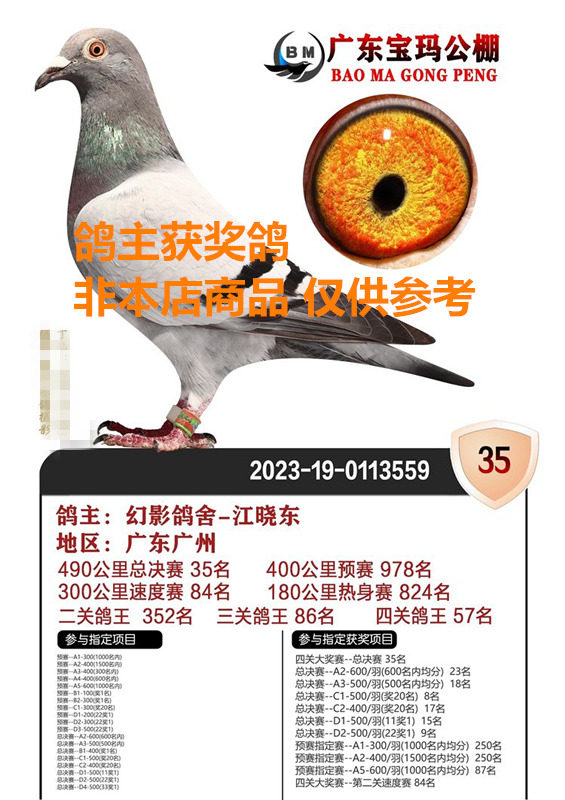 幻影鸽舍-江晓东 海翔赛鸽公棚180公里774名 红色麒麟花 颜色鸽