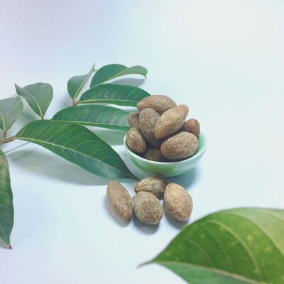 百园橄榄清甜福建特产福州美食