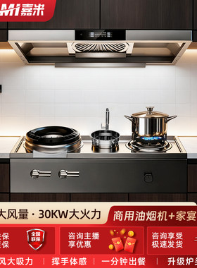 家用橱柜一体别墅自建房定制家用大吸力灶具爆炒家用猛火燃气灶