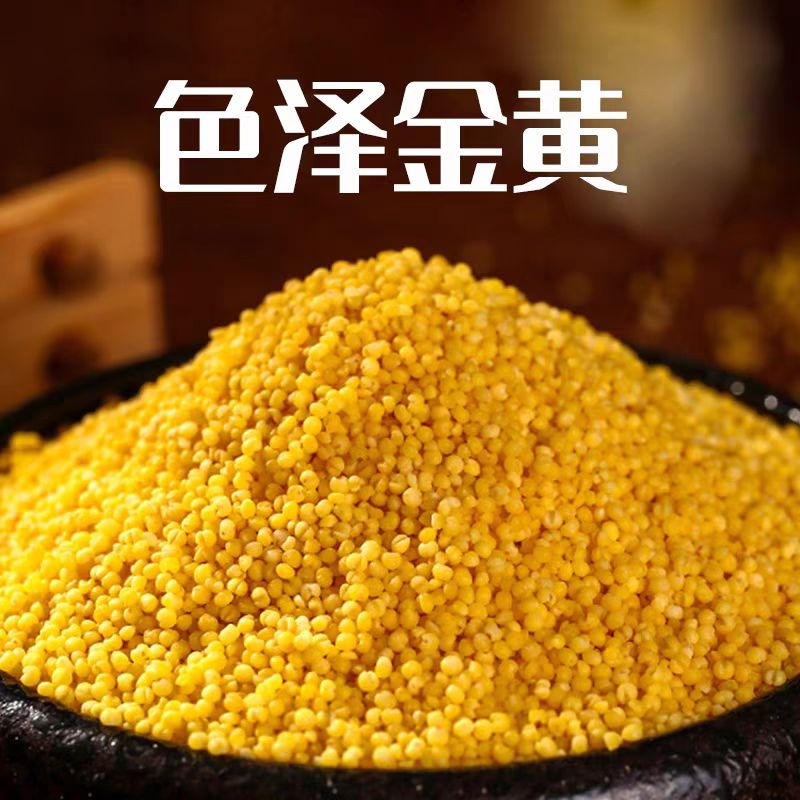 神山 山西浮山县神山贡米 晋谷21号 山西小米 500g真空装*2袋