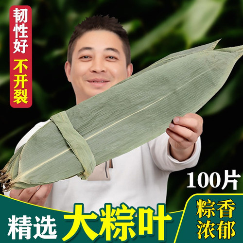 新鲜棕叶100片粽子特大