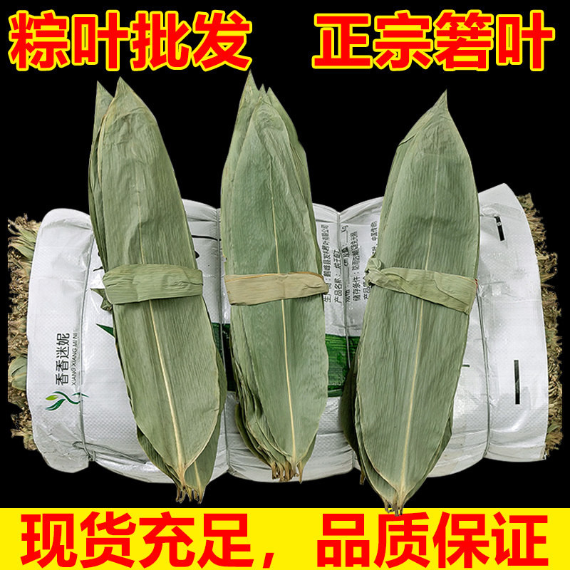 包粽子新叶正宗五芳斋专用粽子叶