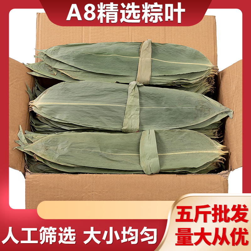 粽子叶新鲜大号5斤新箬叶干粽叶