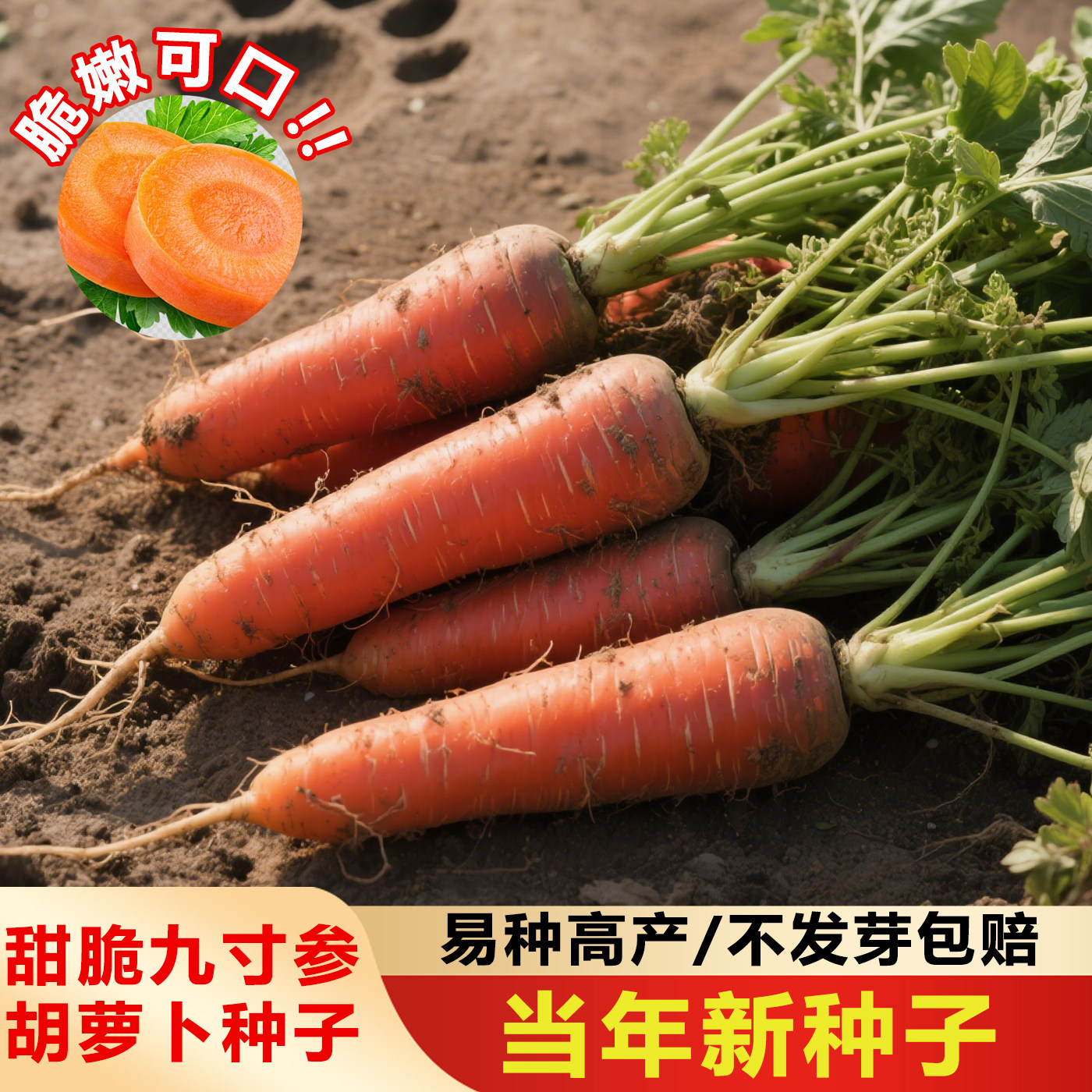 九寸参胡萝卜种子大全脆甜四季冰糖罗卜种籽原装种子大全
