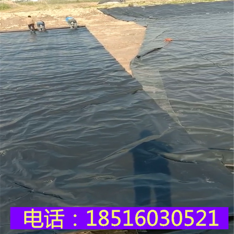 挡土墙防水板屋顶种菜防穿刺鱼塘虾池人工湖防渗HDPE土工膜上海