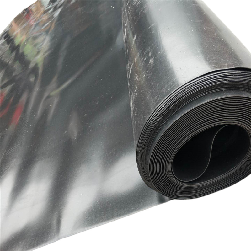 土工膜HDPE膜防渗膜鱼塘建筑防水