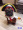 Pirates (Japanese pet costume)