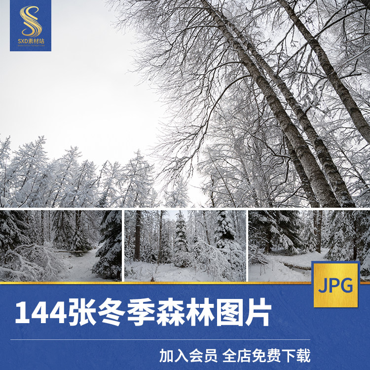144张冬季森林风景筑写实场景商用背景素材4k高清摄影图片