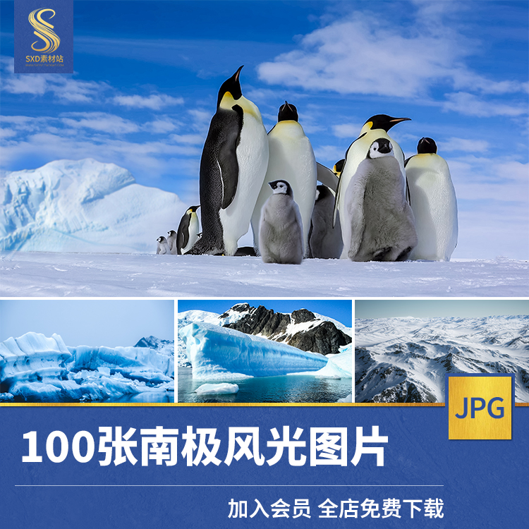 高清jpg素材南极风光图片大陆半岛冰川雪山企鹅冰山雪地摄影照