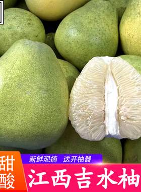 【新鲜上市】吉水柚子正宗江西特产吉安井冈蜜柚蚕子安福金兰柚
