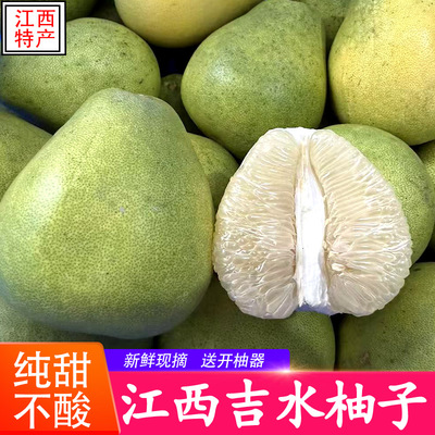 吉水柚子正宗江西井冈蜜柚