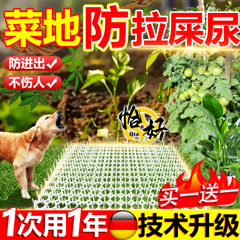 农场菜地驱狗神器2025新款刺钉强力防猫狗乱拉屎尿专用长效室外赶