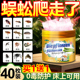 蜈蚣驱除家用克星雄黄防驱虫包灭除去蜈蚣专用药杀虫剂室内外神器