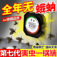 蛾蚋除虫剂卫生间厕所室内去除小飞虫克星诱捕飞蛾专用药灭杀神器