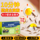 壁虎驱赶专用药神器趋避壁虎凝胶去除防爬墙虎四脚蛇克星诱驱虫药