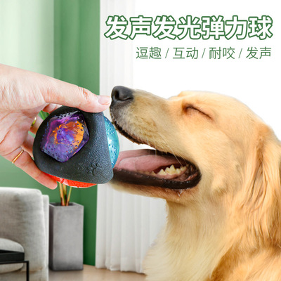 狗玩具球PETCIRCLE耐咬发声互动
