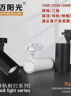 雷迈阳光LED轨道射灯COB导轨灯