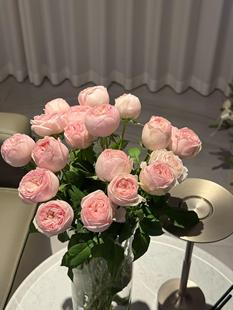 单头酷皮玫瑰鲜花云南基地新鲜直发家用办公室水养鲜切花顺丰包邮