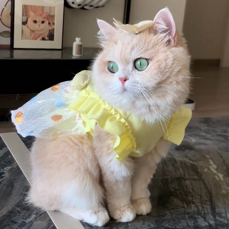 奶黄爱心泡泡公主裙宠物服饰秋冬时尚可爱猫咪防晒冰丝衣服可牵引