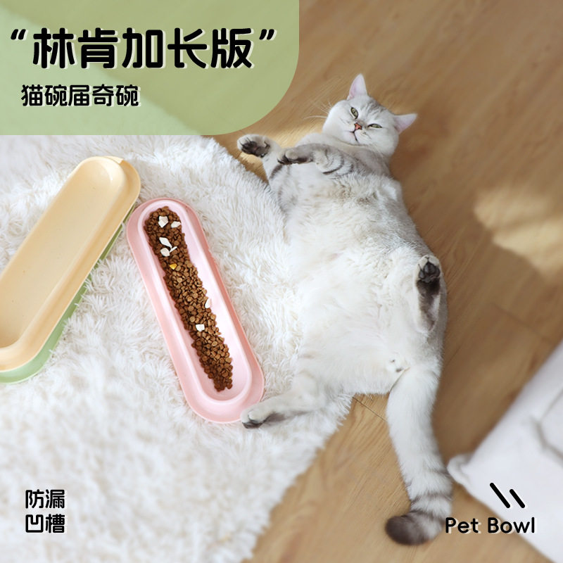 派派猫简约猫碗斜口护颈宠物碗幼猫喂食器防打翻宠物多猫双碗