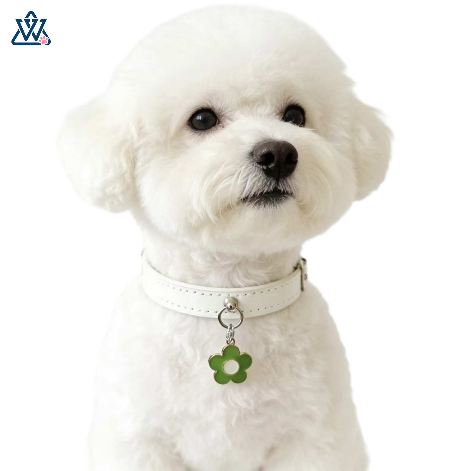 花朵宠物项圈柔软PU皮革小型犬中大型犬脖圈吊坠花瓣猫咪脖圈项链