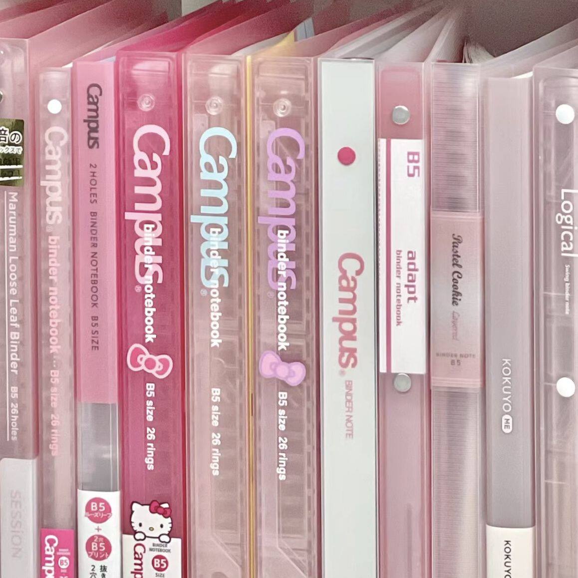 Sanrio B5 Loose-Leaf Notebook | Direct from Taobao - Product image 2