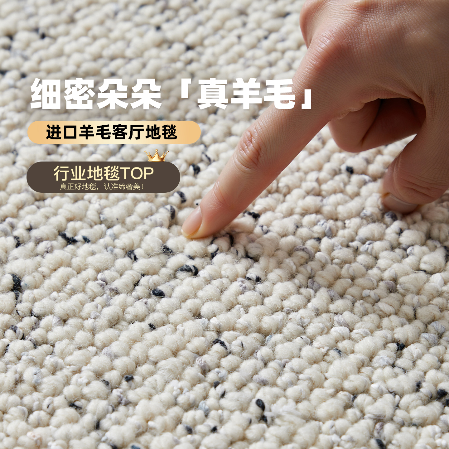 新西兰进口素色羊毛地毯无甲醛无味高级感极简客厅卧室温馨床边毯