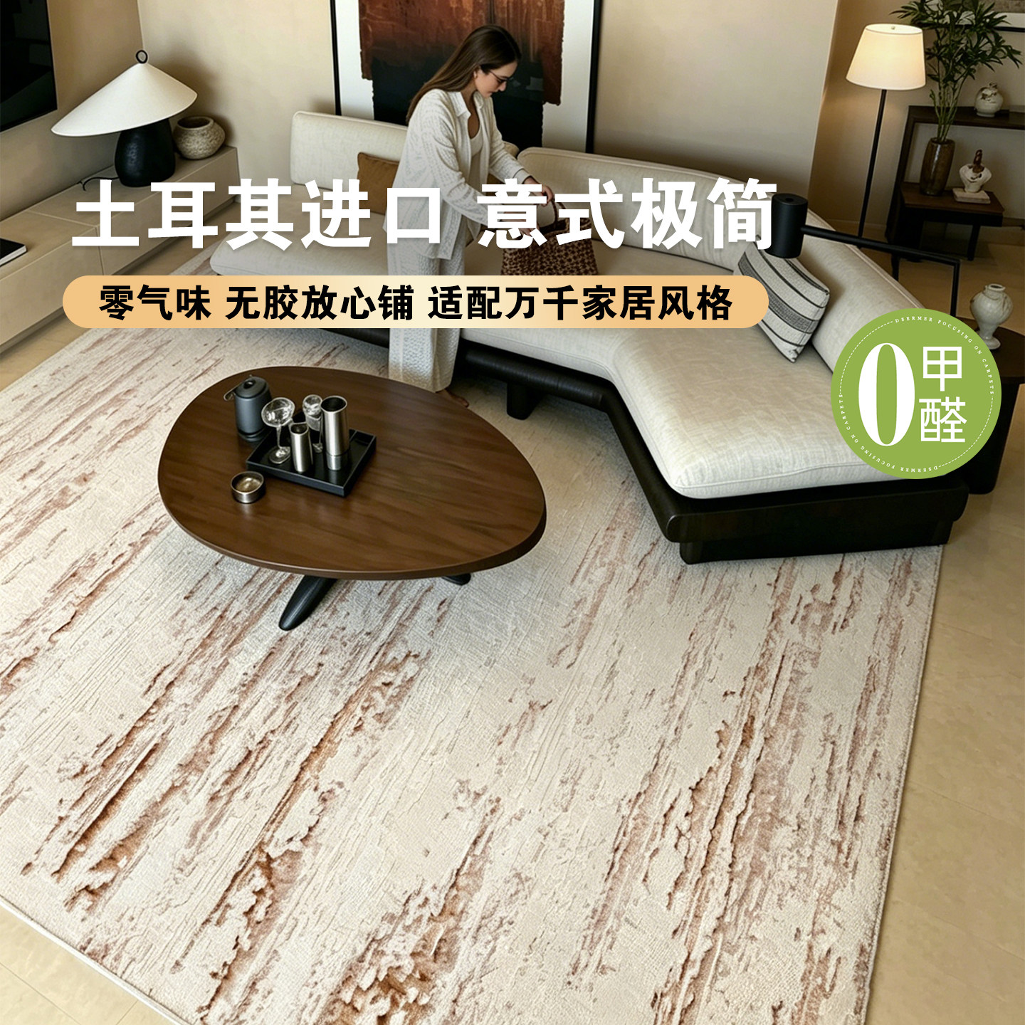 土耳其进口地毯客厅意式极简中古轻奢高级无胶卧室简约防猫抓地毯