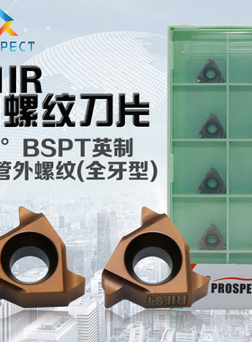 普斯特 55°BSPT英制锥管内螺纹(全牙型) 16IR 11/14TBSPT P7320