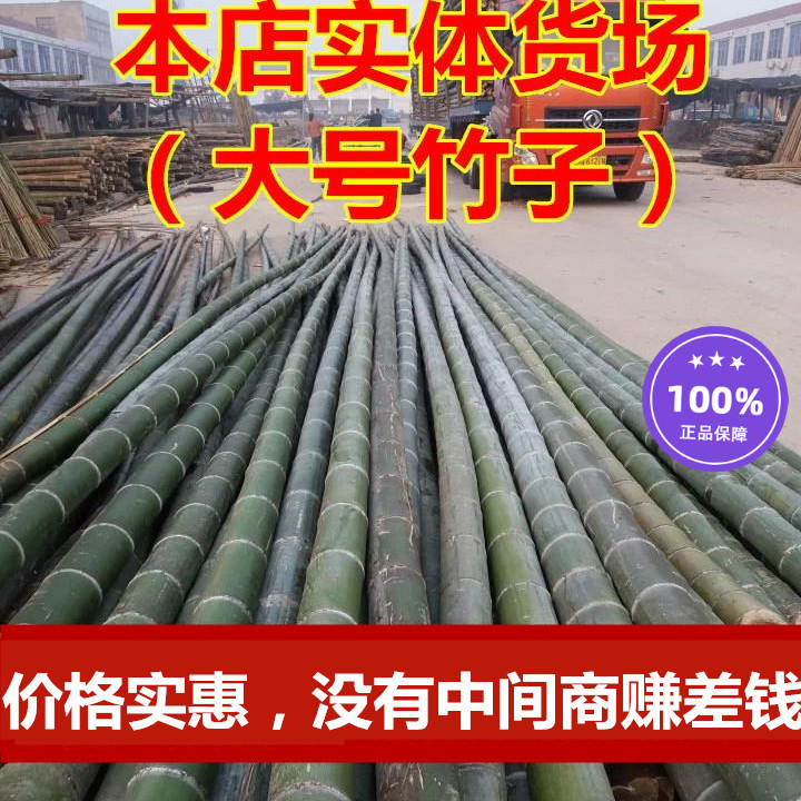 竹子菜园户外庭院竹子篱笆围栏