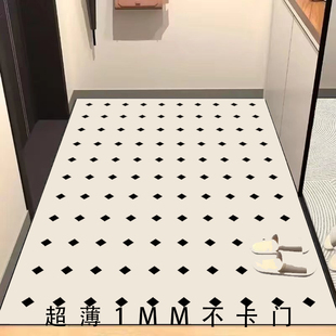 超薄款入户进门1mm不卡门口地垫极薄PVC皮革免洗地毯玄关防滑脚垫