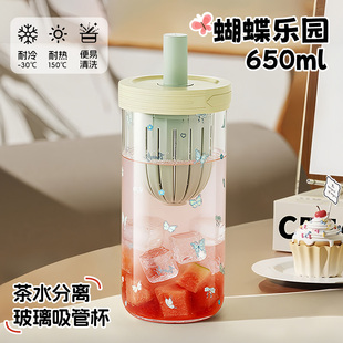 高硼硅玻璃杯高级感轻奢茶水分离吸管杯女高颜值大容量饮料水杯子