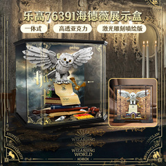 乐高海德薇展示盒76391展示盒猫头鹰亚克力防尘罩LED灯饰灯光灯组