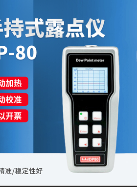 DP80露点测试仪手持式温湿度计DP-80水分测量露点仪