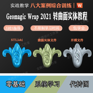 geomagic Wrap2021studio零基础系统教程OBJ转igs实体stl转stp