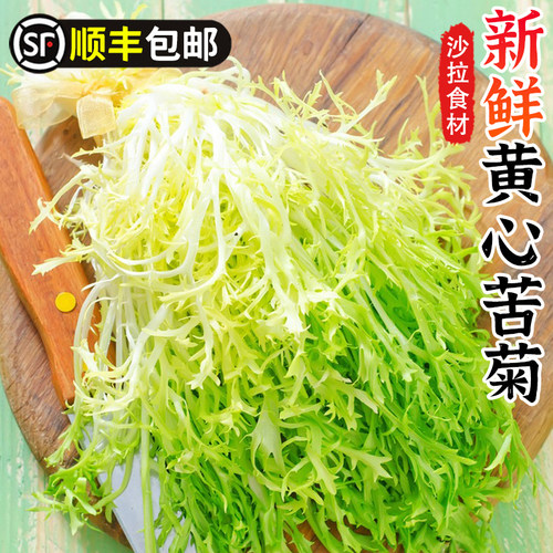 黄心苦菊新鲜蔬菜苦菊
