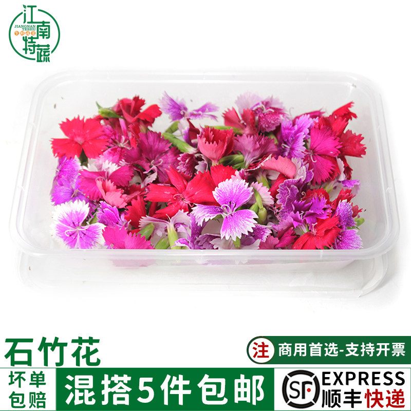 新鲜石竹花摆盘装饰花草
