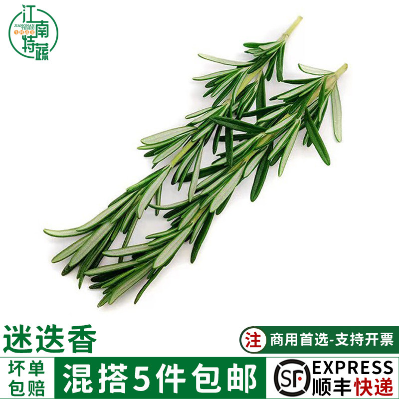 迷迭香新鲜食用玛丽草香料菜西餐牛排烧烤法餐烘焙调料摆盘用包邮