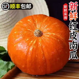 新鲜红皮南瓜万圣节南瓜灯手工雕刻装 饰南瓜软糯香甜板栗味辅食