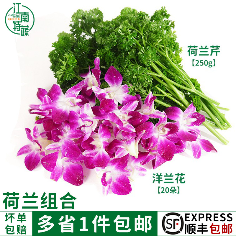 新鲜杨兰花 荷兰套餐洋 兰花火锅烤肉西餐排盘装饰餐饮摆盘鲜花草