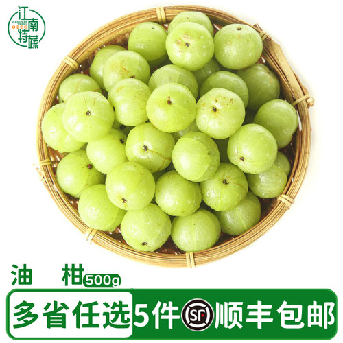 青油甘果余甘果牛甘果新鲜采摘油柑酸水果余甘子500g