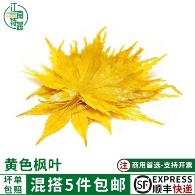 新鲜黄枫叶真空储存现摘现发甜点蛋糕日料西餐冷菜摆盘装饰花草