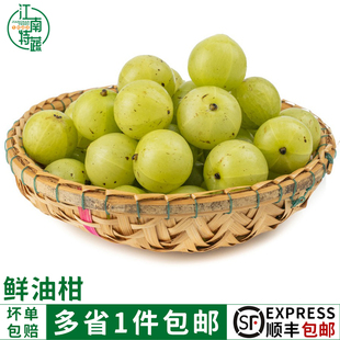 新鲜油甘果500g余甘果牛甘子当季现摘油柑滇橄榄酸甜水果5斤包邮