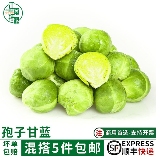 孢子甘蓝250g新鲜蔬卷心菜菜西餐沙拉食材小包菜蔬菜沙拉