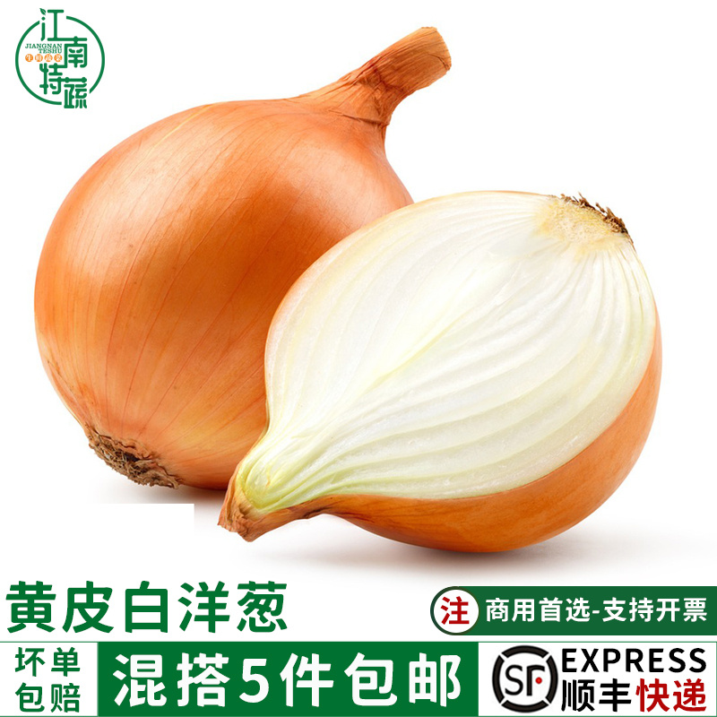 新鲜白洋葱黄皮白肉洋葱