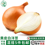 新鲜白洋葱黄皮白肉洋葱农家圆葱西餐披萨沙拉新鲜蔬菜食材调味