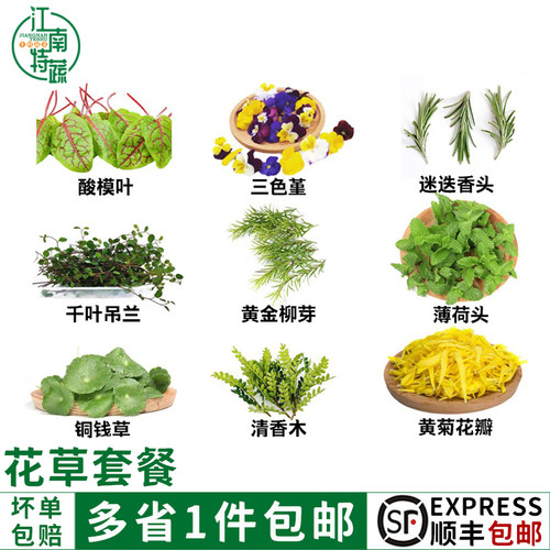 摆盘花草西餐酒店装饰点缀9盒