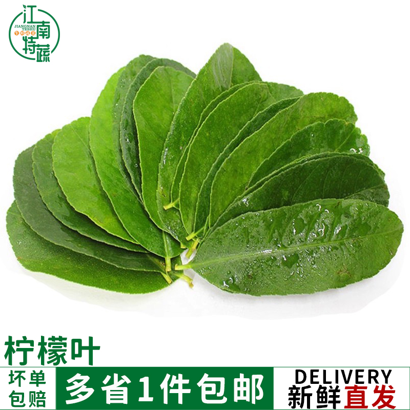 新鲜柠檬叶青柠叶西餐厅香料料理烹饪冷饮奶茶店调料冬阴功汤原料