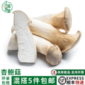 杏鲍菇新鲜菌菇5斤装 顺丰蔬菜新鲜食用蔬菜肉厚鲜嫩蘑菇